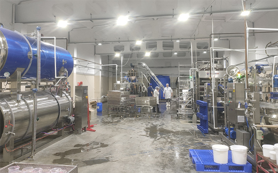 Rusya Patlayan Toplar (Popping Boba) Üretim Hattı